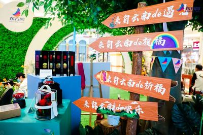 家門口“遇見·云南” 晉寧文創集市開進上海商圈，宜昌旅游借勢展風采
